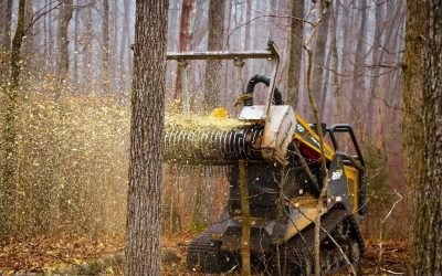 Forestry Mulching vs. Digging and Dozing